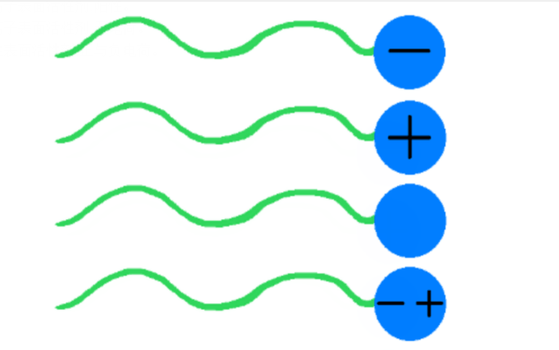 表面活性劑的類型.png